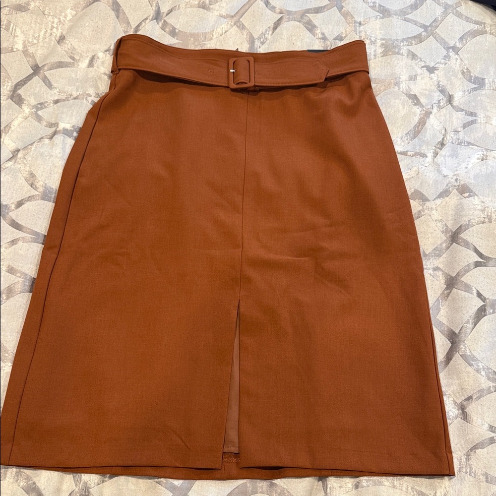Banana Republic Factory Spicy Brown Pencil Skirt